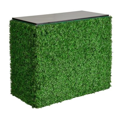 Image two of Hedge Bar 4'
